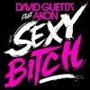David Guetta feat. Akon - Sexy Bitch