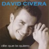 David Civera - Dile que la quiero